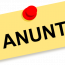 anunt logo
